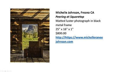 Johnson Michelle--squaretop.jpg