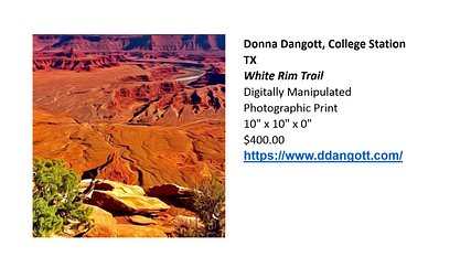 Dangott Donna--White Rim Trail.jpg